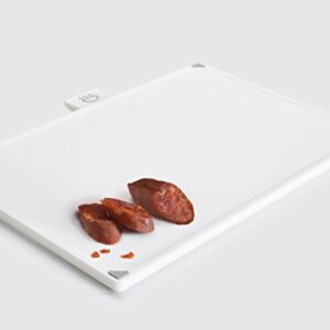 Joseph Joseph Index Plastic Cutting Board Set with Storage Case Color-Coded Dishwasher-Safe Non-Slip, Large, Silver (60134)