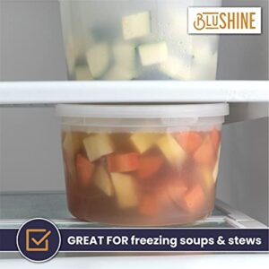 BluShine [12 Sets - 64 oz.] Plastic Deli Food Storage Containers with Airtight Leak Proof Lids - Washable And Reusable - Recyclable BPA-Free - Microwave, Fridge, and Freezer Safe