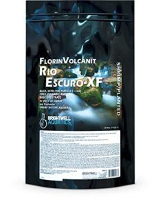 brightwell aquatics florinvolcanit rio escuro-xf - extra fine black volcanic ash substrate for freshwater shrimp, 25 lbs (fvex25)