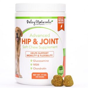 Deley Naturals Hip and Joint Support Supplement for Dogs - Advanced Arthritis Pain Relief - Chondroitin, MSM, Organic Turmeric, & Glucosamine for Dogs - Made in USA - 120 Grain Free Soft Chews