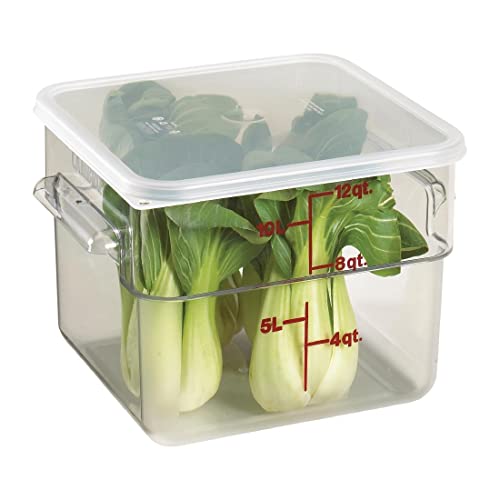 Cambro Camwear 12SFSCW135 Polycarbonate Square Food Storage Container, 12 Quart, 6 Pack