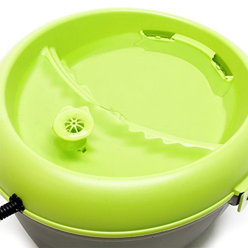 AA Aquarium Dog Water Bowl, Sharp Lime Green/Translucent Black, 1 Count (Pack of 1), (DH020)