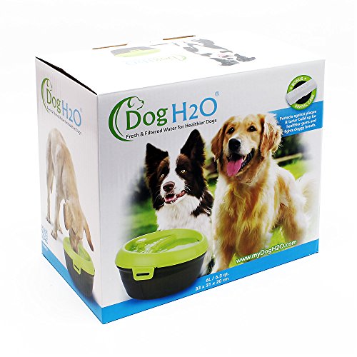 AA Aquarium Dog Water Bowl, Sharp Lime Green/Translucent Black, 1 Count (Pack of 1), (DH020)