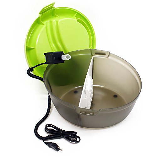 AA Aquarium Dog Water Bowl, Sharp Lime Green/Translucent Black, 1 Count (Pack of 1), (DH020)