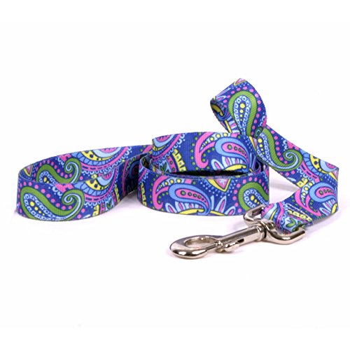 Yellow Dog Design Paisley Power Dog Leash, Small/Medium-3/4 Wide and 5' (60") Long