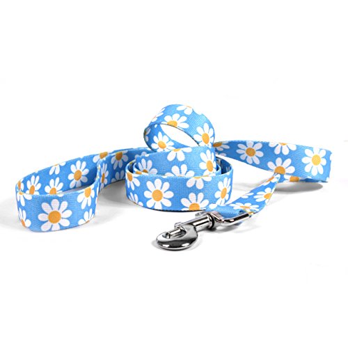 Yellow Dog Design Standard Lead, Blue Daisy, 1" x 60" (5 ft.)