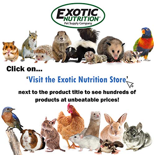 Exotic Nutrition Economy Carry Bonding Pouch (Black) - for Sugar Gliders, Squirrels, Marmosets, Hamsters, Rodents, Rats, Reptiles, & Other Small Pets