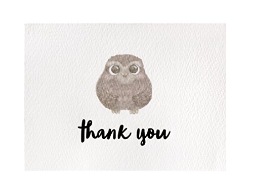 Cute Woodland Animal Thank You Cards and Gray Self Seal Envelopes 36 Pack - Opie's Paper Company