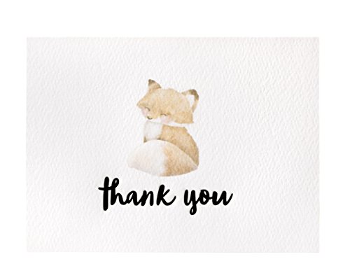 Cute Woodland Animal Thank You Cards and Gray Self Seal Envelopes 36 Pack - Opie's Paper Company