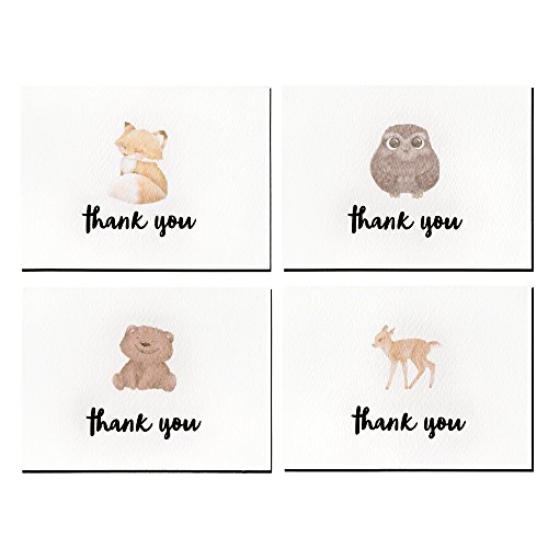 Cute Woodland Animal Thank You Cards and Gray Self Seal Envelopes 36 Pack - Opie's Paper Company