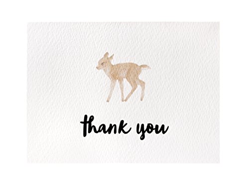 Cute Woodland Animal Thank You Cards and Gray Self Seal Envelopes 36 Pack - Opie's Paper Company