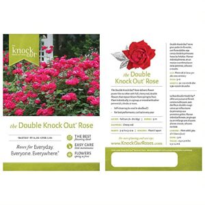 Root 98 Warehouse Knockout Double Red Rose, 1g