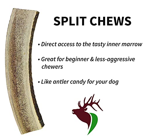 Elkhorn Premium Chews – X Large Split Single Pack (for 50+ lb Dogs) Premium Grade Elk Antler for Dogs (1 Piece) Sourced in The USA