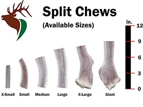 Elkhorn Premium Chews – X Large Split Single Pack (for 50+ lb Dogs) Premium Grade Elk Antler for Dogs (1 Piece) Sourced in The USA