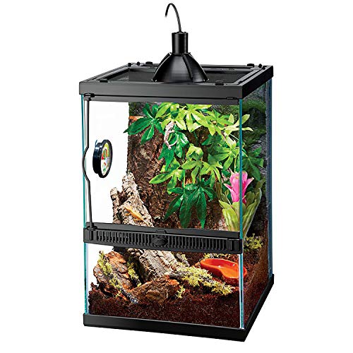 Zilla Tropical Vertical Habitat Starter Kit for Small Tree Dwelling Reptiles & Amphibians Like Geckos and Frogs 11 GAL