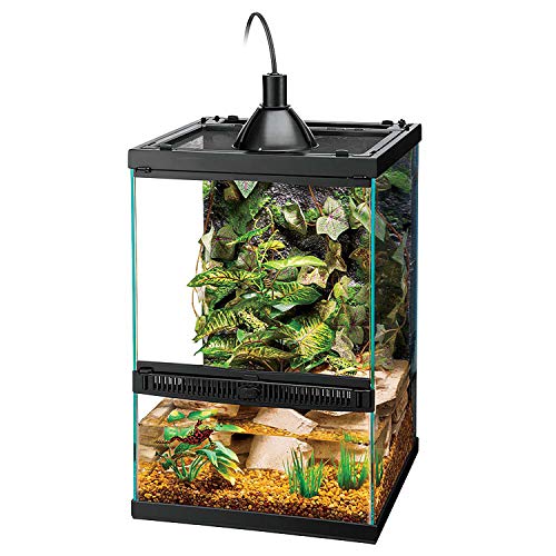 Zilla Tropical Vertical Habitat Starter Kit for Small Tree Dwelling Reptiles & Amphibians Like Geckos and Frogs 11 GAL