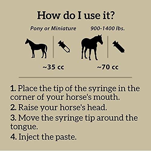 REDMOND Daily Gold Syringe Natural Healing Clay for Gastric Ulcers in Horses (Stress Relief Pre-Race Paste) (Single Pack)