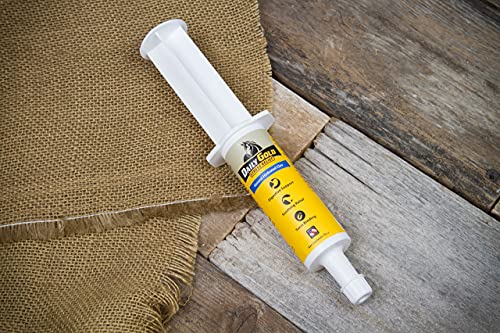 REDMOND Daily Gold Syringe Natural Healing Clay for Gastric Ulcers in Horses (Stress Relief Pre-Race Paste) (Single Pack)