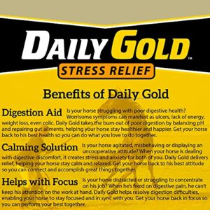 REDMOND Daily Gold Syringe Natural Healing Clay for Gastric Ulcers in Horses (Stress Relief Pre-Race Paste) (Single Pack)