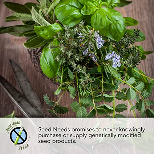 Seed Needs, Mint Seed Packet Collection (4 Individual Varieties of Mint Seeds for Planting) Heirloom, Non-GMO & Untreated - Spearmint, Peppermint, Lemon Mint and Pennyroyal Mint