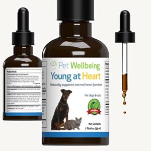 pet wellbeing young at heart for cats - vet-formulated - supports cardiovascular (heart & circulatory) health - natural herbal supplement 2 oz (59 ml)