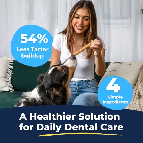 Tartar Shield Soft Rawhide Chews | Safe Dental Treats for Small Dogs | Vet VOHC Approved | Daily Bone Cleans Teeth & Gums Fresh Breath Oral Health Support | USA Made | (Small Dogs / 12 Count)