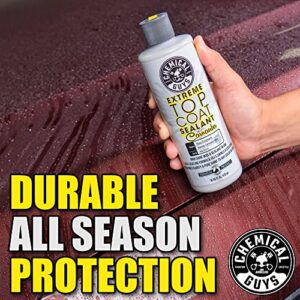 Chemical Guys WAC21016 Extreme Top Coat Wax & Sealant With Carnauba, Safe for Cars, Trucks, SUVs, Motorcycles, RVs & More, 16 fl oz