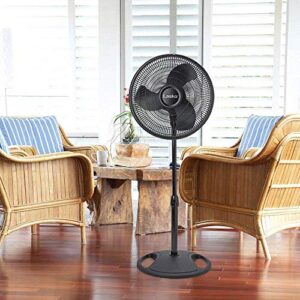 Lasko 16 Inch Oscillating 3 Speed Adjustable Pedestal Stand Fan, Black (2 Pack)