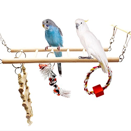 Parrot Wooden Bird Swing Parakeet Cage Hammock Hanging Toy for Small Parakeets Cockatiels Conures Macaws Parrots Love Birds Finches