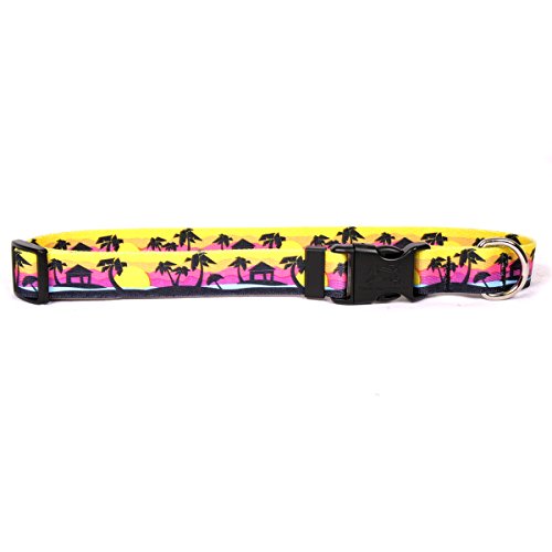 Yellow Dog Design Palm Tree IslDog Collar, Small-3/4 Wide fits Neck Sizes 10 to 14", (PTRE103)