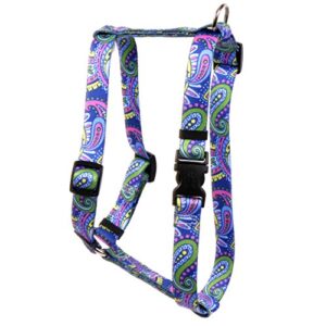 yellow dog design paisley power roman style h dog harness, large-1" wide and fits chest of 20 to 28"