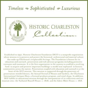 HISTORIC CHARLESTON King Charles Classic European Matelasse Cotton Decorative Pillow Case, Standard Sham (20" x 26"), White