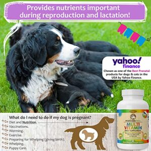 Prenatal Dog Vitamins – Multivitamin for Dogs and Cats with Folic Acid, Minerals and Amino Acids. Ideal for Pregnant, Breast Feeding and Newborn Pets – Senior Dog Supplement, Complete Puppy Vitamins.