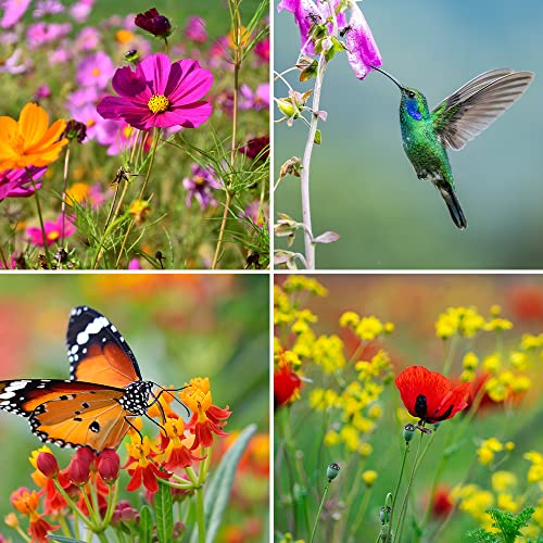 Bulk Wildflower Seeds Variety Pack - 5 Large Packets 5 Different Mixes - Over 1/4 Pound - More Than 30,000 Open Pollinated Seeds