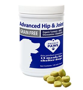 project paws hip and joint supplement for dogs - dog glucosamine chews with msm, chondroitin and organic turmeric - 120 ct