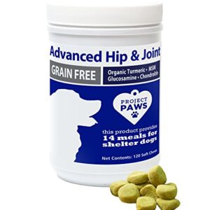 Project Paws Hip and Joint Supplement for Dogs - Dog Glucosamine Chews with MSM, Chondroitin and Organic Turmeric - 120 CT