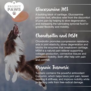 Project Paws Hip and Joint Supplement for Dogs - Dog Glucosamine Chews with MSM, Chondroitin and Organic Turmeric - 120 CT