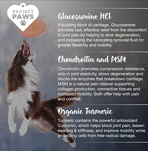 Project Paws Hip and Joint Supplement for Dogs - Dog Glucosamine Chews with MSM, Chondroitin and Organic Turmeric - 120 CT