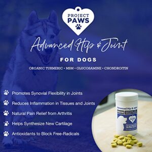 Project Paws Hip and Joint Supplement for Dogs - Dog Glucosamine Chews with MSM, Chondroitin and Organic Turmeric - 120 CT