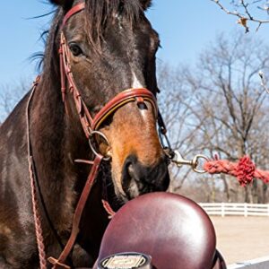 Bickmore Saddle Soap Plus - 2.8oz - Leather Cleaner & Conditioner with Lanolin - Restorer, Moisturizer, and Protector