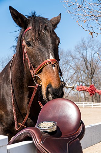 Bickmore Saddle Soap Plus - 2.8oz - Leather Cleaner & Conditioner with Lanolin - Restorer, Moisturizer, and Protector