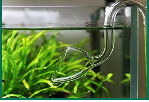 JARDLI Glass Lily Pipe Mini Inflow Outflow Set 10mm for 9/12mm Tubing - Nano Aquarium Planted Tank Aquascaping