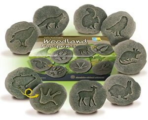 yellow door let’s investigate woodland footprints double sided stones with animal tracks and animal picture, create fun animal games with fossil set, stone, set of 8, toddler toys for 3 years & up