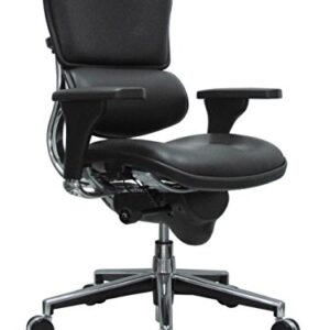 Eurotech Seating Ergohuman Leather Swivel Chair, Black (Mid Back)