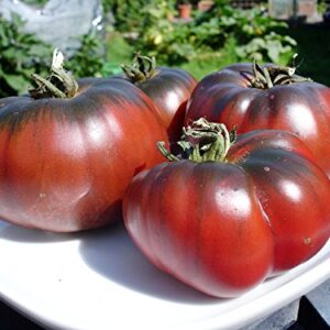 30+ Giant Black Krim Tomato Seeds, Heirloom Non-GMO, Low Acid, Indeterminate, Open-Pollinated, Sweet, Super Delicious, from USA