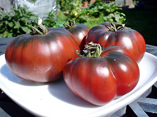 30+ Giant Black Krim Tomato Seeds, Heirloom Non-GMO, Low Acid, Indeterminate, Open-Pollinated, Sweet, Super Delicious, from USA