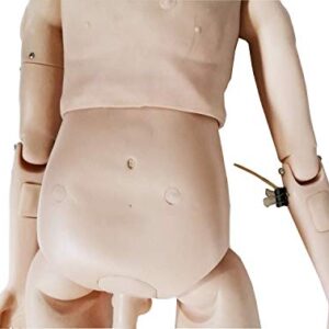 IntBuying Life Size Male Education Mannequin Model Patient Care Teaching Human Manikin Man for Education Study, Manikin for Nurse Training, Male Medical Mannequin Full Body