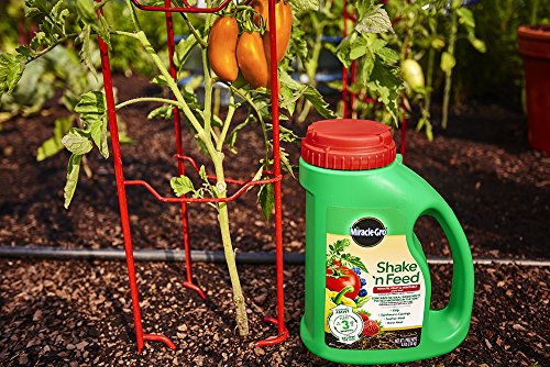 Miracle-Gro Shake 'N Feed Tomato, Fruit & Vegetable Plant Food, Plant Fertilizer, 4.5 lbs.