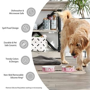 Bone Dry Paw & Patch Ceramic Pet Collection, Medium Set, 6x2", Gray, 2 Piece