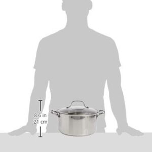 T-fal E75846 Performa Stainless Steel Dishwasher Safe Induction Compatible Dutch Oven Cookware, 5.5-Quart, Silver